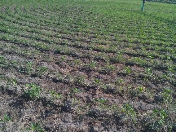 Rokosan de visita en Agrokruh
