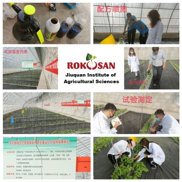 Cooperación con el Instituto de Ciencias Agrícolas de Jiuquan