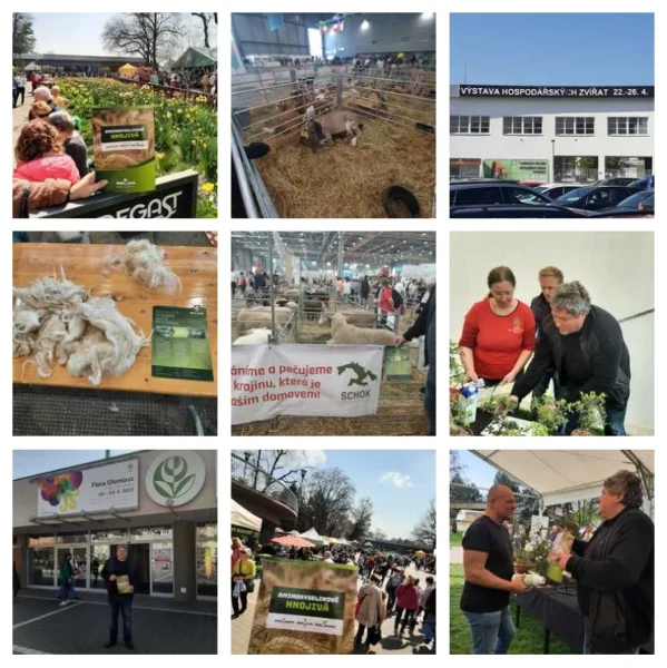 FERIA FLORA OLOMOUC Y EXPOSICIÓN NACIONAL DE GANADO BRNO 2023