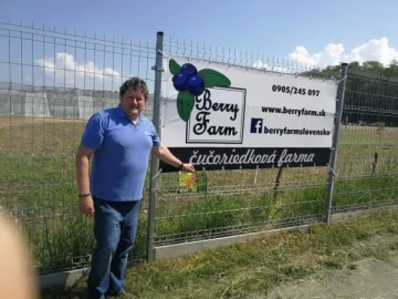 Arándanos orgánicos gracias a ROKOSAN