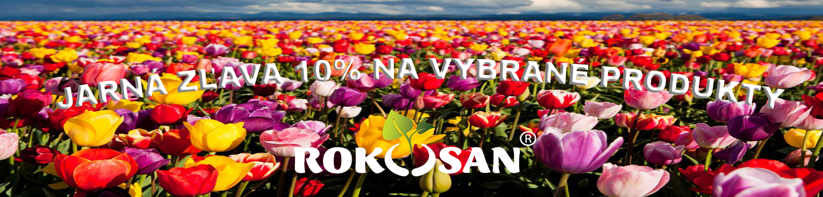 Rokosan